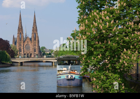 À l'église, au bord du Rhin, la Cathédrale St Paul, Strasbourg, Alsace, France Banque D'Images