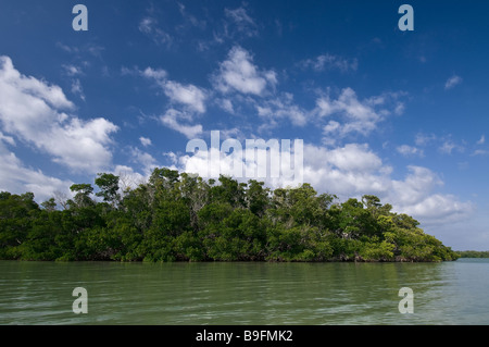 Les forêts de mangrove dans la baie de Floride îles entourent le parc national des Everglades en Floride Banque D'Images