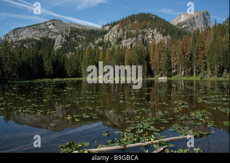 Lac de nymphe dans Rocky Mountain National Park, Colorado Banque D'Images