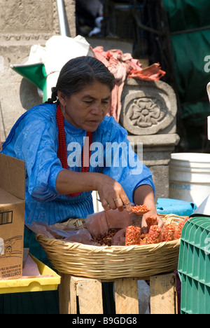 Une femme mexicaine, Mexico city Banque D'Images