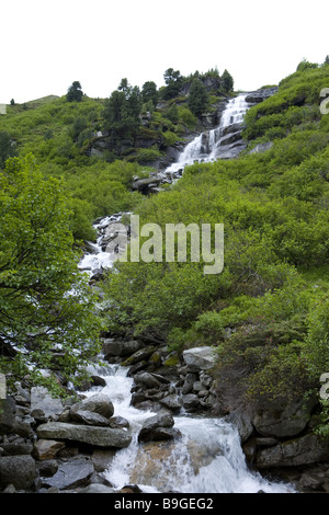 La Suisse Grisons Vallée de la société Valser Val Zevreila-Lake Rhénan La société valser cascade Brook Ruisseau de montagne montagne montagne-forêt