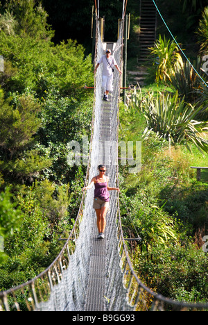 Le Buller Gorge Swingbridge Adventure & Heritage Park, Upper Buller Gorge, Murchison, Tasman, île du Sud, Nouvelle-Zélande Banque D'Images