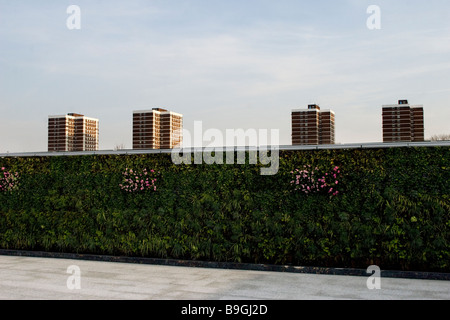 Le centre commercial de Westfield, Shepherds Bush, London Banque D'Images