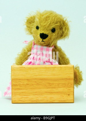 Ours miniature se cacher derrière une table (Mini Bear Collection) Banque D'Images