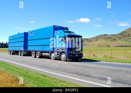 Camion de bétail sur l'autoroute 73, District de Selwyn, Canterbury, île du Sud, Nouvelle-Zélande Banque D'Images