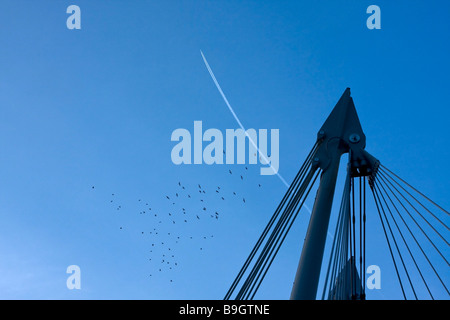 Haut de Golden Jubilee bridge avec une volée d'oiseaux et d'avion passant au-dessus, Londres Banque D'Images