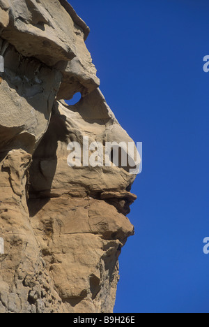 Le visage d'un Buffalo dans le sable naturel pour obtenir à l'écriture de pierre sur pierre Provincial Park dans le sud de l'Alberta, Canada. Banque D'Images