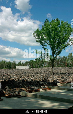Mémorial du camp d'extermination de Belzec première vue des camps d'extermination nazi créé pour la mise en œuvre de l'opération Reinhar Banque D'Images