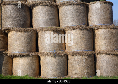 Bottes de paille pile dans barn Banque D'Images