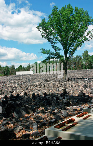 Mémorial du camp d'extermination de Belzec première vue des camps d'extermination nazi créé pour la mise en œuvre de l'opération Reinhar Banque D'Images