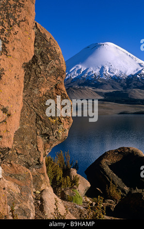 Le Chili, Nevados de Payachata. Volcan Parinacota (6,348m) passant au-dessus du lac Chungara dans le parc national de Lauca. Banque D'Images