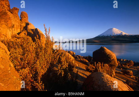 Le Chili, Nevados de Payachata. Volcan Parinacota (6,348m) passant au-dessus du lac Chungara dans le parc national de Lauca. Banque D'Images