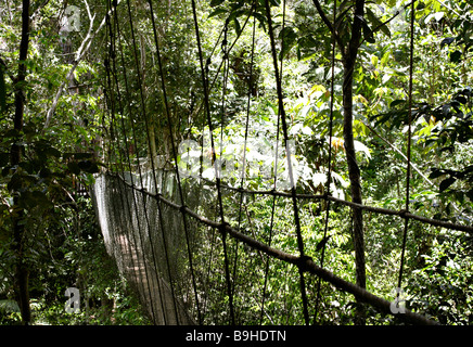 Pont suspendu à l'Ecoparque de una Forêt Tropicale Atlantique Mata Atlântica Bahia Brésil Amérique du Sud Banque D'Images