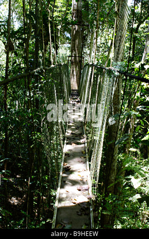 Pont suspendu à l'Ecoparque de una Forêt Tropicale Atlantique Mata Atlântica Bahia Brésil Amérique du Sud Banque D'Images