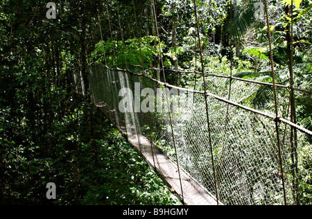 Pont suspendu à l'Ecoparque de una Forêt Tropicale Atlantique Mata Atlântica Bahia Brésil Amérique du Sud Banque D'Images