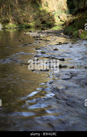 Une passerelle enjambe Gorge de Lydford pour faire une marche circulaire attrayant pour les visiteurs du Parc National de Dartmoor Devon Banque D'Images