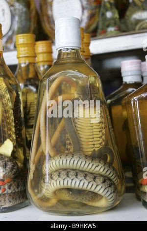 Thaïlande Snake snake alcool bouteille de whisky alcool souvenirs Asie Asie/Dreiländerdreieck 2006 Village de destination Banque D'Images