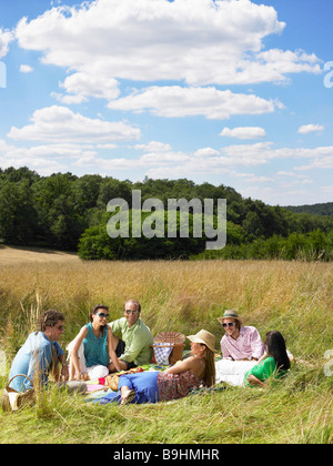 Groupe d'amis ayant un pique-nique Banque D'Images