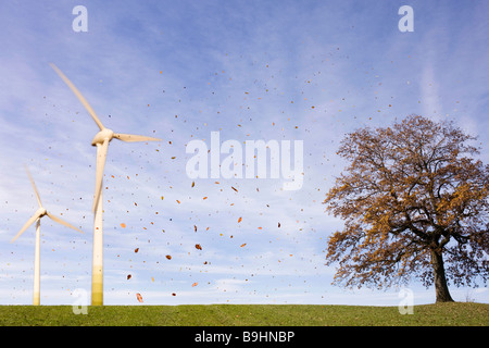 Les feuilles qui tombent, l'arbre, les éoliennes Banque D'Images