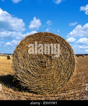 Les balles rondes de paille sur un champ de blé moissonné, stubblefield, Allemagne Banque D'Images