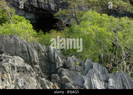 Tsingy (forte érosion calcaire) à l'Ankarana Réserve spéciale, Madagascar. Banque D'Images