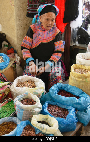 Flower Hmong femme vendant des haricots dans le marché de Sapa Vietnam Banque D'Images