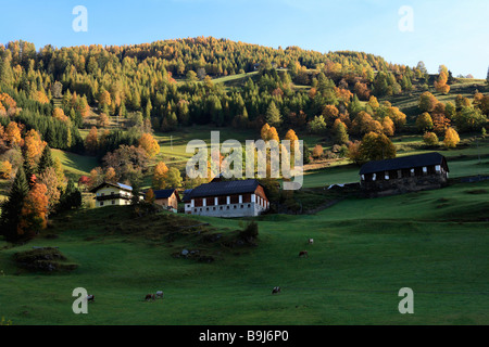 Fermes dans Winkl-Saureggen, Gurktaler Alpes, Carinthie, Autriche, Europe Banque D'Images