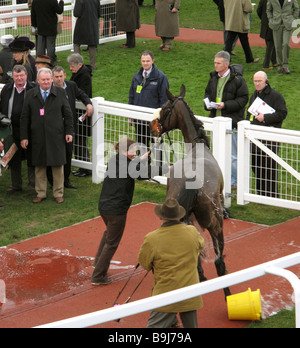 Cheltenham GLOUCESTERSHIRE Angleterre GO UK 2009 Banque D'Images