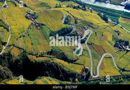 Photo aérienne, vignes d'automne à St Justina, Renon, Valle Isarco Valley, Bolzano-Bozen, Italie Banque D'Images