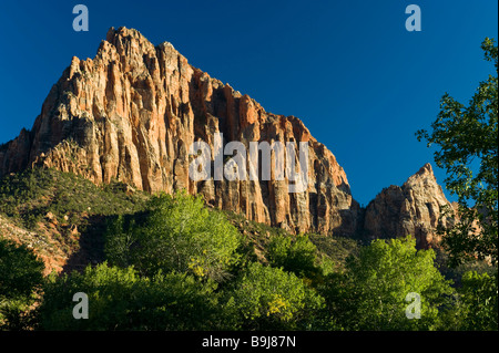 Montagne, la Sentinelle, Sion, National Park, Utah, USA Banque D'Images