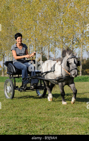 Jeune femme dans un chariot tiré par un poney Banque D'Images