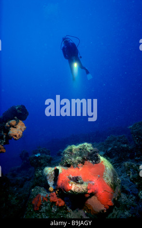 Scuba Diver nage au-dessus une amphore envahis par une éponge rouge, Mer Méditerranée, Turquie Banque D'Images