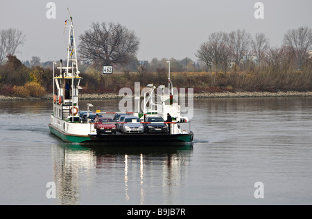 Car-ferry sur le Rhin, le transport de véhicules de Rhénanie-palatinat à Hesse près de Gernsheim, Hesse, Germany, Europe Banque D'Images