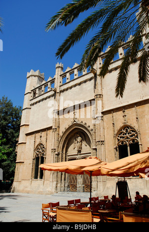Terrasse avec parasols en face de l'entrée médiévale portail de Sa Llotja, l'ancienne bourse de commerce maritime, utilisé aujourd'hui Banque D'Images