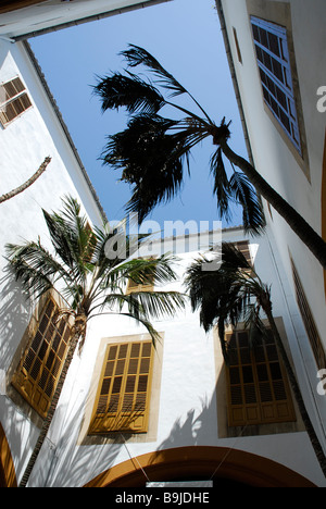 Palmiers dans une cour intérieure, un patio de l'Académie des beaux-arts, Circulo de Bellas Artes, dans l'ancien palais de ville Casa Banque D'Images