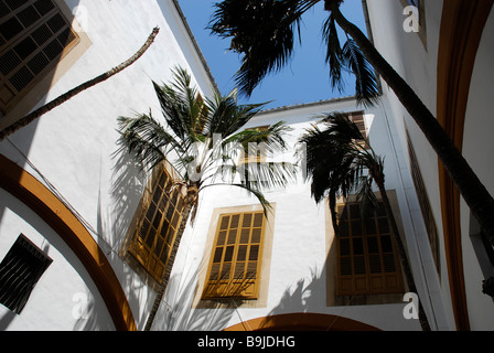 Palmiers dans une cour intérieure, un patio de l'Académie des beaux-arts, Circulo de Bellas Artes, dans l'ancien palais de ville Casa Banque D'Images