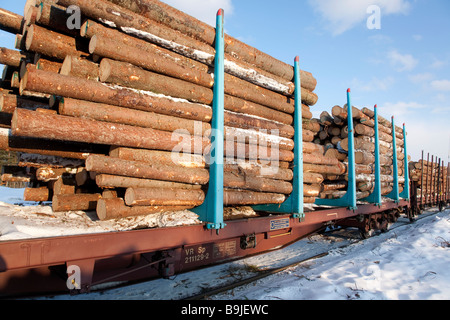 Epicéa (picea abies) se connecte sur le train chargé dans des wagons plats avec des pieux , Finlande Banque D'Images