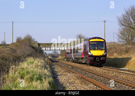 Cross Country arriva 170111 Physocarpus opulifolius Dart's Gold avec un laissez-passer de Worcestershire Cardiff en direction sud sur le service 20 03 09 Banque D'Images