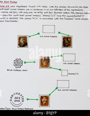 Page d'album de la collection de timbres victoriens. Détails du timbre Penny Red de la planche 25 de la vers 1842. Quatre emboutis avec des annotations de caractéristiques. Banque D'Images