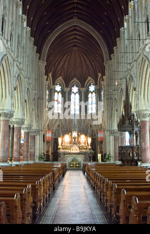 L'intérieur imposant de la cathédrale saint Colman, Cobh, dans le comté de Cork, Irlande Banque D'Images