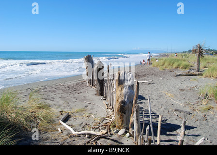 Driftwood sculpure, Hokitika Beach, Hokitika, Westland District, West Coast, South Island, New Zealand Banque D'Images