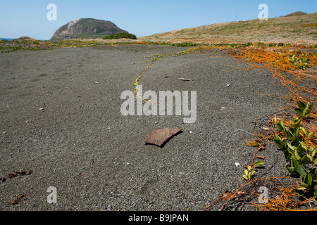 Morceau de shrapnel de la bataille la bataille d'Iwo Jima sur l'une des plages d'invasion attaqué par des Marines américains au cours de février 1945 Banque D'Images