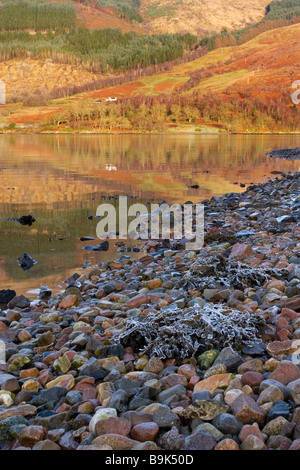 Les réflexions dans le Loch Leven au village de Invercoe près de Ballachulish, Glencoe, Argyll, Highlands, Scotland Banque D'Images