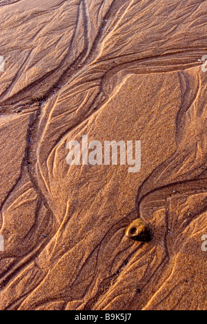 Des modèles dans le sable sur la plage de Bamburgh Northumberland au sur la côte dans la soirée. Photographié en Juin Banque D'Images