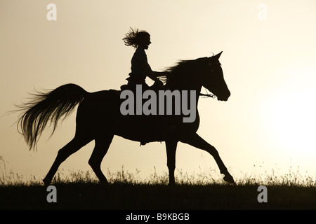 Femme équitation sur cheval arabe - coucher de soleil Banque D'Images