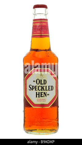 Bouteille de Hen Old Speckled Ale Banque D'Images