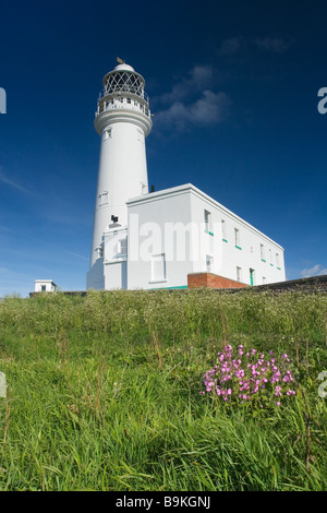 L'Flamborough Phare à Flamborough Head sur l'Flamborough Pointe Heritage Coast East Riding of Yorkshire Banque D'Images