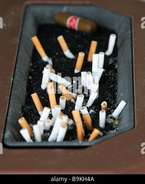 Les mégots dans le cendrier cigare tabac la nicotine Banque D'Images