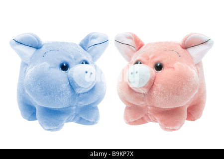 Porcs de peluche Banque D'Images