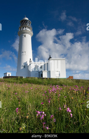 L'Flamborough Phare à Flamborough Head sur l'Flamborough Pointe Heritage Coast East Riding of Yorkshire Banque D'Images